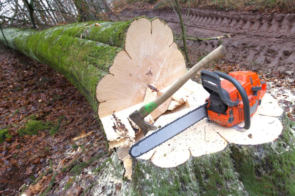 fadöntés Balatonszentgyörgy, fadontes balatonszentgyorgy